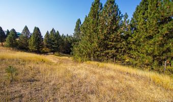 Summitview Dr, Ahsahka, ID 83520