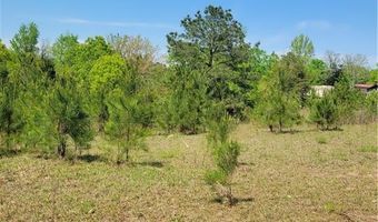 601 HERBERT BROWN Rd, Auburn, AL 36830