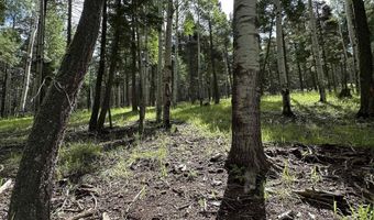 Lot 577 El Camino Real, Angel Fire, NM 87710