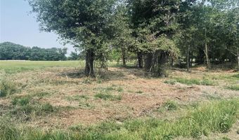 Lot 6 TBD County Road 1560, Alba, TX 75410