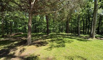 1075 Sandys Camp Rd, Big Sandy, TN 38221