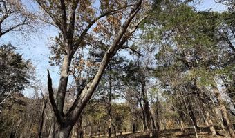 Parcel A DULWICH DR, Amherst, VA 24521