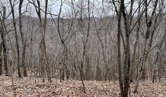 Toole Creek Road, Abingdon, VA 24210