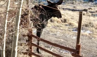 31 CUTOFF Rd, Daniel, WY 83115