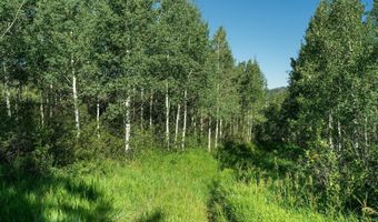 1833 W Buttermilk Rd, Aspen, CO 81611