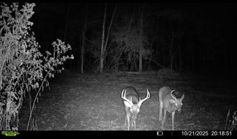 Putnam Road, Belzoni, MS 39038