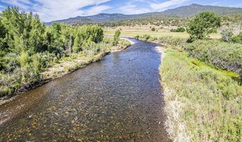USFS RD 613, Arboles, CO 81147