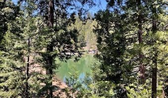 1474 Moran Rd, Arnold, CA 95223