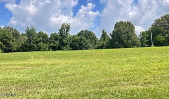 3945 Old Trezevant Rd, Atwood, TN 38220