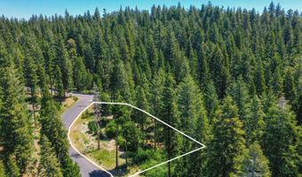 10 Timber Trail Ct, Arnold, CA 95223