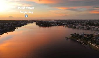 5205 BRIGHTON SHORE Dr, Apollo Beach, FL 33572