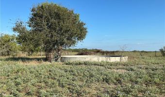 FM 1352, Alice, TX 78332