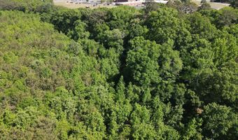 Colice Hall Lane, Ahoskie, NC 27910