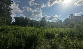 137 Shorter Rd, Braxton, MS 39044