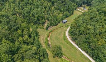 3750 Hunting Creek Rd, Bays, KY 41310