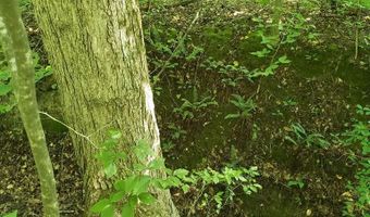 Wilkins Road, Alton, VA 24520