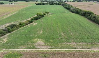 290 CR, Asbury, MO 64832