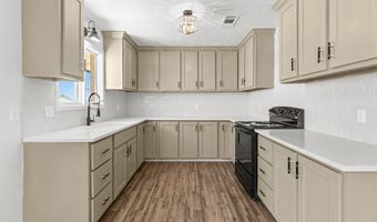 80 SE 1600, Andrews, TX 79714