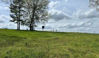 2665 Mt. Carmel Rd, Altoona, AL 35952