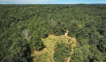 470 County Road 118, Annapolis, MO 63670