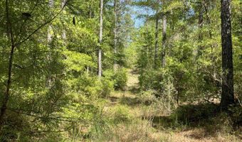 0 Orem Rd, Bay Minette, AL 36507