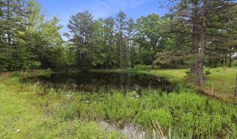 7064 County Road 14-223, Ava, MO 65608