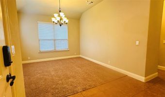 217 Bonsai Dr, Anna, TX 75409