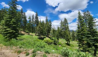 332 Snowshoe Rd, Bear Valley, CA 95223