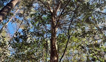 Chief Rd, Abbeville, AL 36310