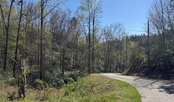 000 Holland Farm Rd, Andrews, NC 28901