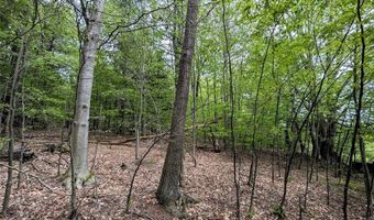 Stewart Road, Addison, NY 14801