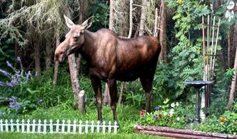 3451 Andree Dr #A, Anchorage, AK 99517