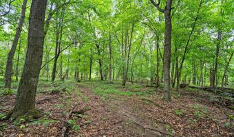 Lt3 County Road N, Arkansaw, WI 54721