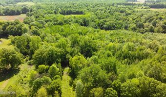 Beech Bluff Road, Beech Bluff, TN 38313