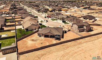 3600 Selman Ct, Carlsbad, NM 88220