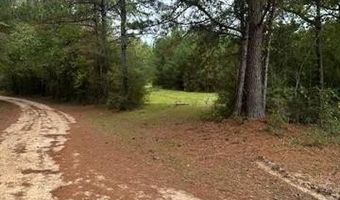 00 JARRELL TOWN Rd, Bogalusa, LA 70427