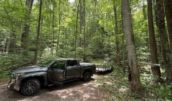 9999 Countryside Est, Barnardsville, NC 28709