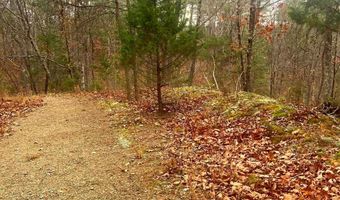 SPITZ Lane, Basye, VA 22810