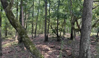 305 STONE RIDGE Trl, Anniston, AL 36207