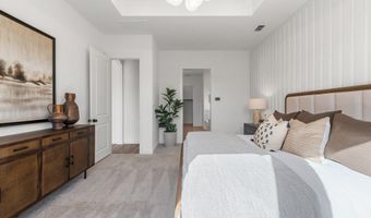 309 Deer Ridge Dr Plan: Basswood II, Aledo, TX 76008