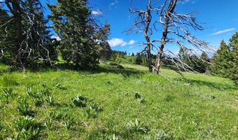 Blacktooth Road lot 12, Big Horn, WY 82833
