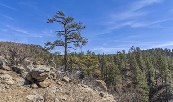 TBD Lot 4 Beaver Creek Ranch Drive, Bayfield, CO 81122