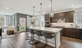 1717 Grace St, Anna, TX 75409