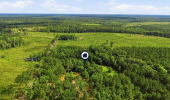7775 Peacock Rd, Baker, FL 32531