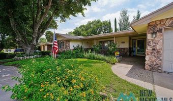 1212 Landsun Dr, Carlsbad, NM 88220