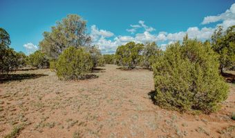 Pulp Mill Road, Clay Springs, AZ 85923