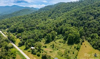 329 N Fork Rd, Barnardsville, NC 28709