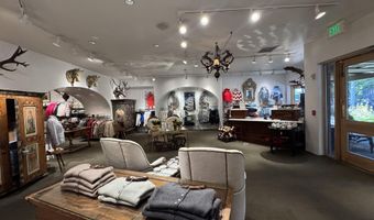 419 E Cooper Ave, Aspen, CO 81611