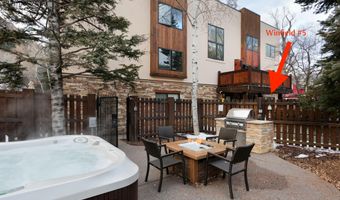 119 E Cooper Ave #5, Aspen, CO 81611