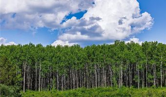 Tbd 240th Street, Akeley, MN 56433